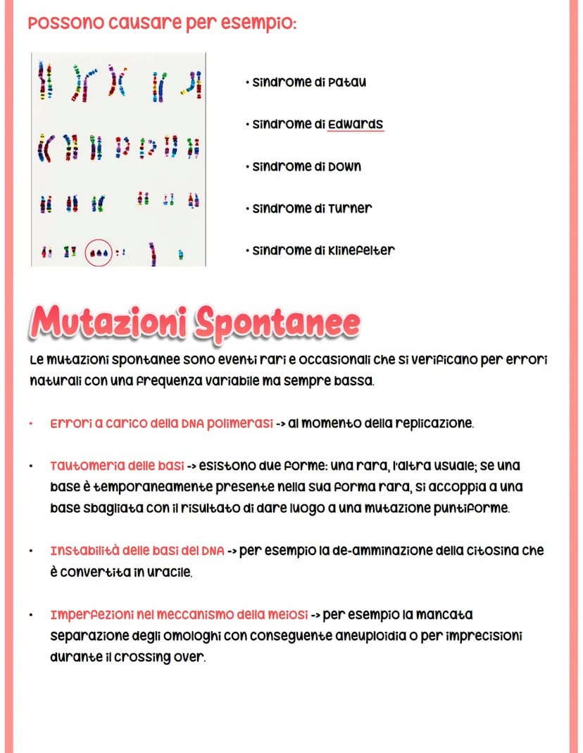MUTAZIONI
I cambiamenti nella sequenza delle basi azotate del DNA producono proteine con
funzionalità alterata.
Si classificano in base a:
c