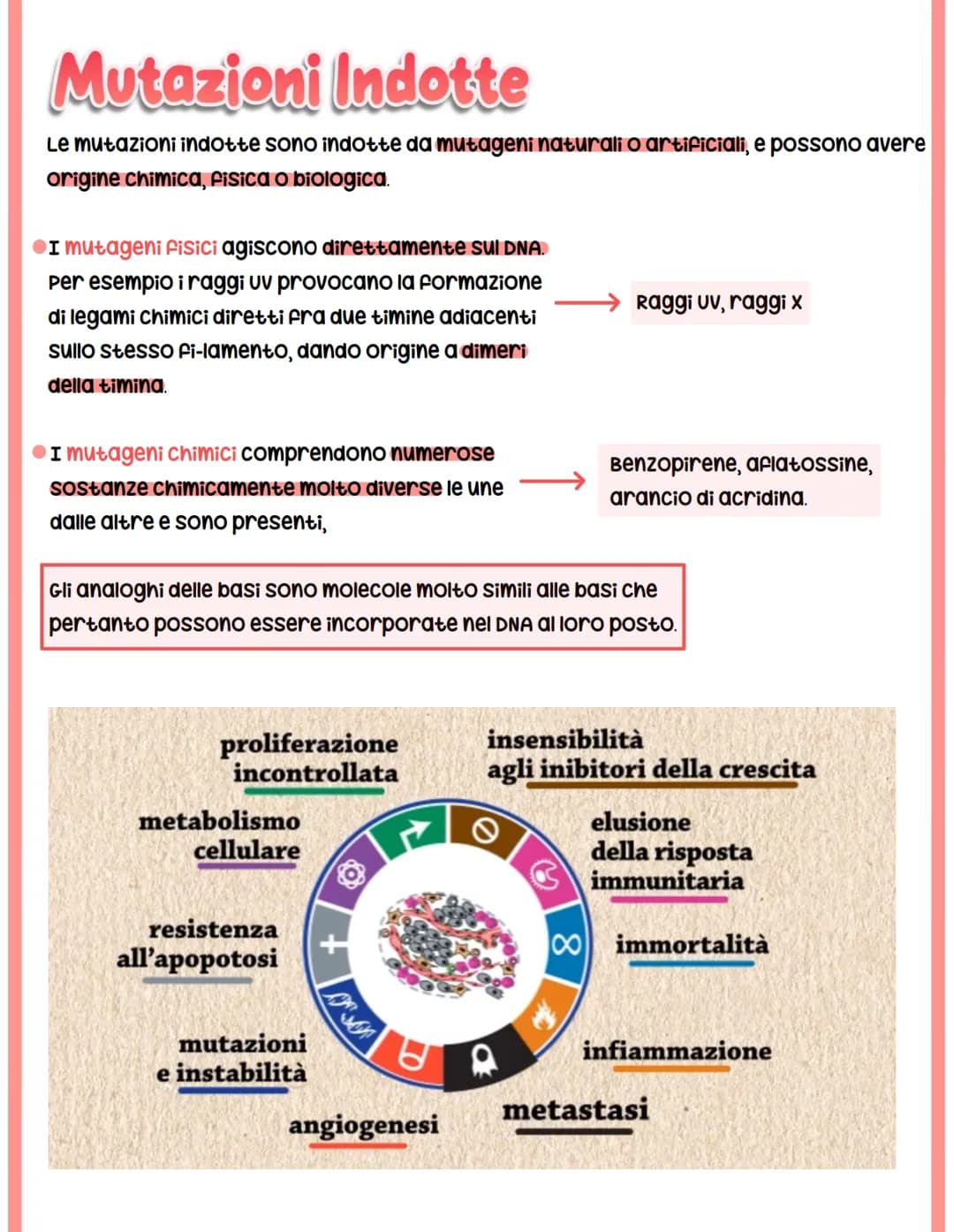 MUTAZIONI
I cambiamenti nella sequenza delle basi azotate del DNA producono proteine con
funzionalità alterata.
Si classificano in base a:
c