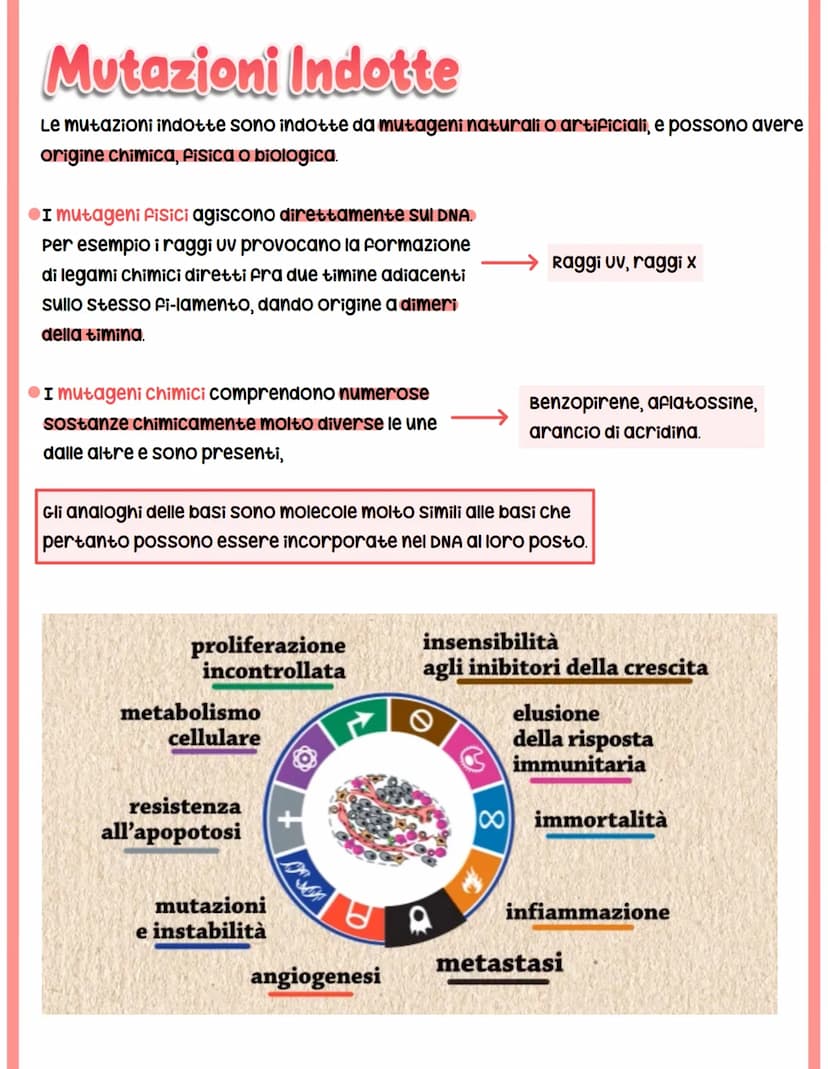 MUTAZIONI
I cambiamenti nella sequenza delle basi azotate del DNA producono proteine con
funzionalità alterata.
Si classificano in base a:
c