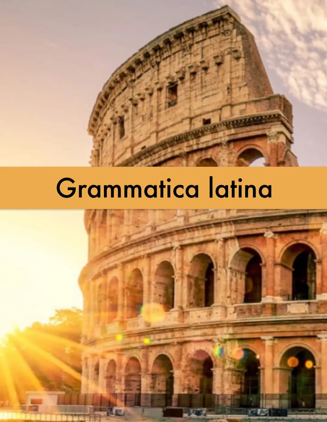 Grammatica latina
10.0 DECLINAZIONI
Prima declinazione
Tema Terminazione
Nominativo Ros
Genitivo Ros
Dativo Ros
Accusativo Ros
Vocativo Ros
