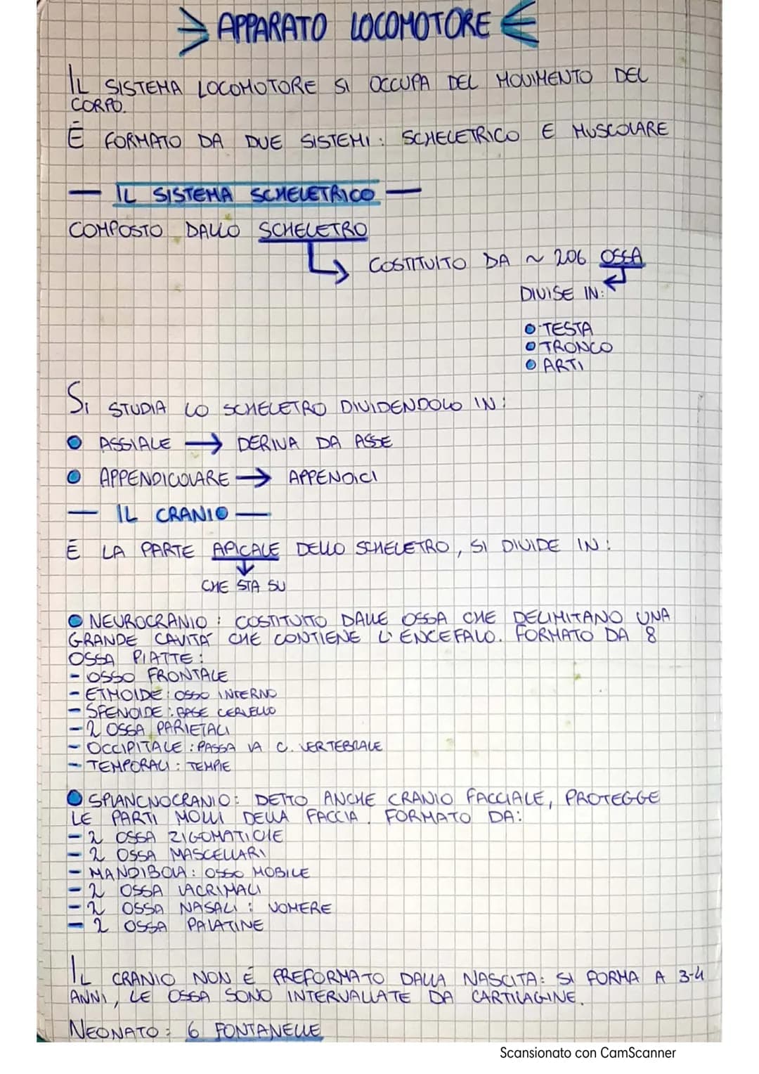 APPARATO LOCOMOTORE
AL SISTEMA LOCOMOTORE SI OCCUPA DEL MOVIMENTO DEL
CORPO.
É FORMATO DA DUE SISTEMI SCHELETRICO E MUSCOLARE
IL SISTEMA SCH