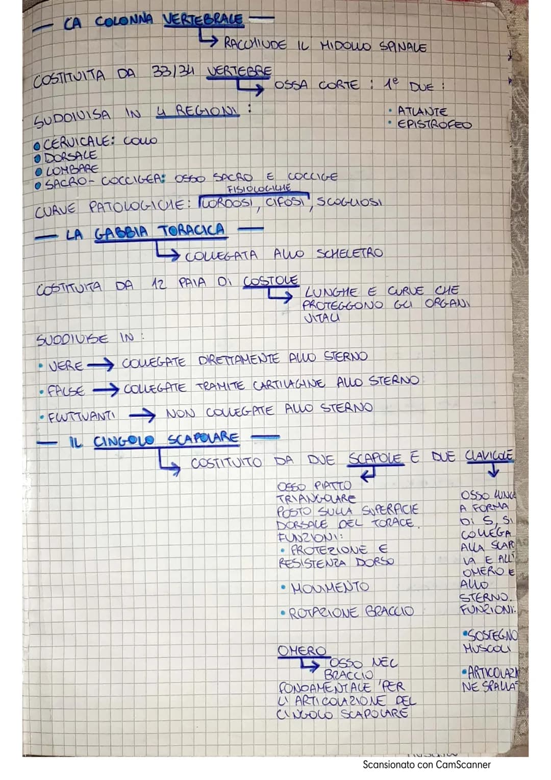 APPARATO LOCOMOTORE
AL SISTEMA LOCOMOTORE SI OCCUPA DEL MOVIMENTO DEL
CORPO.
É FORMATO DA DUE SISTEMI SCHELETRICO E MUSCOLARE
IL SISTEMA SCH