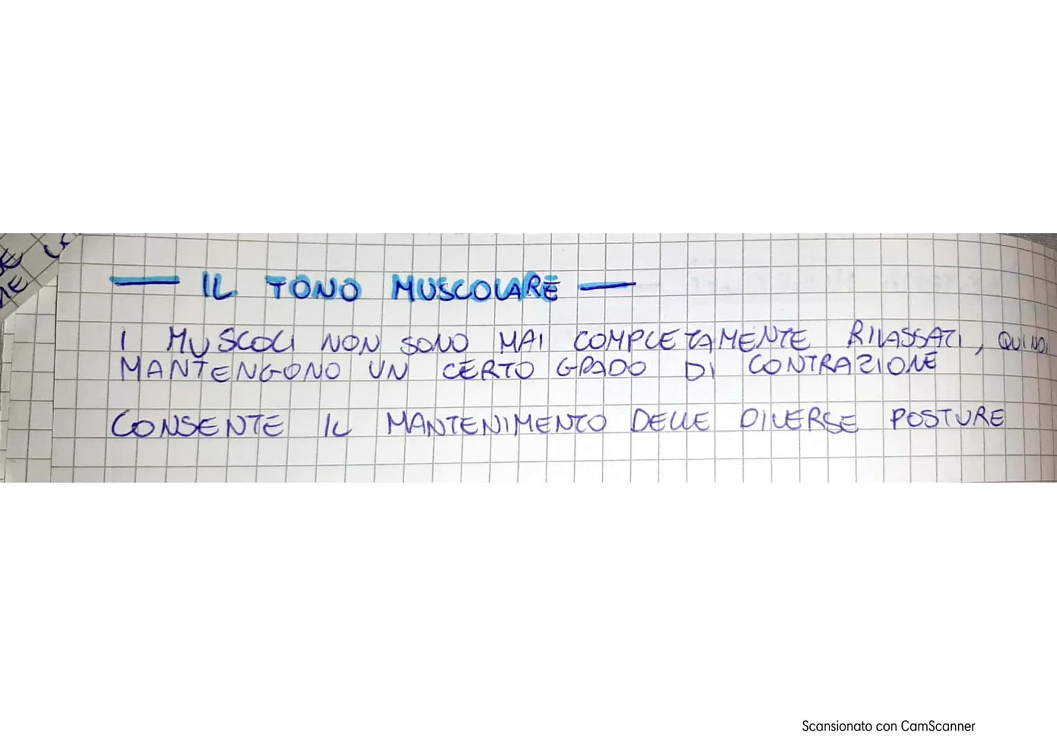 APPARATO LOCOMOTORE
AL SISTEMA LOCOMOTORE SI OCCUPA DEL MOVIMENTO DEL
CORPO.
É FORMATO DA DUE SISTEMI SCHELETRICO E MUSCOLARE
IL SISTEMA SCH