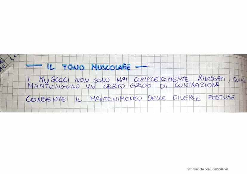 APPARATO LOCOMOTORE
AL SISTEMA LOCOMOTORE SI OCCUPA DEL MOVIMENTO DEL
CORPO.
É FORMATO DA DUE SISTEMI SCHELETRICO E MUSCOLARE
IL SISTEMA SCH