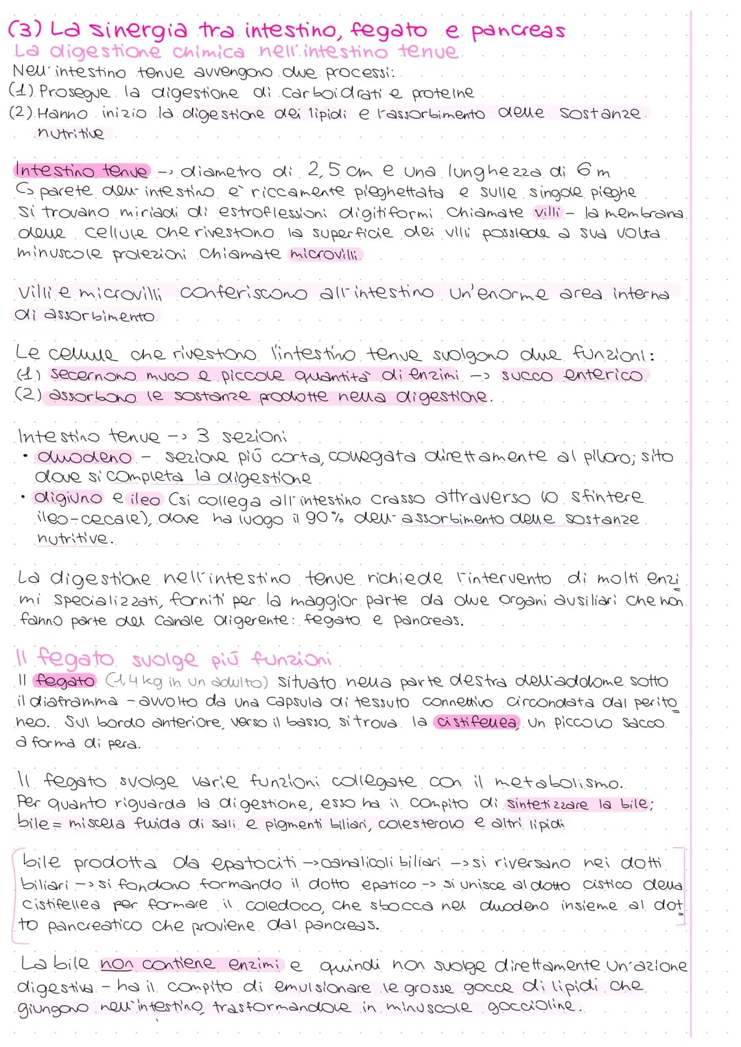 A
Ghiandola parotide
Ghiandole salivari
sottolinguale
e sottomandibolare
Esofago
Fegato
Cistifellea
Intestino
tenue:
Duodeno
Digiuno
lleo
Li