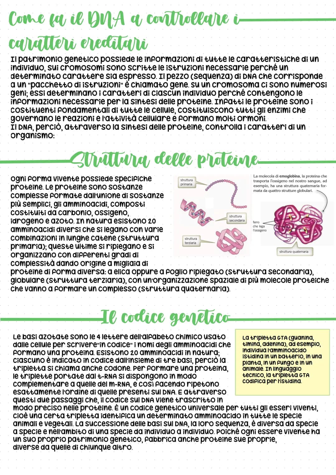Il codice della vita: DNA
In tutti gli esseri viventi, le istruzioni che lo definiscono, si trovano nel
nucleo delle cellule, "scritte" in c