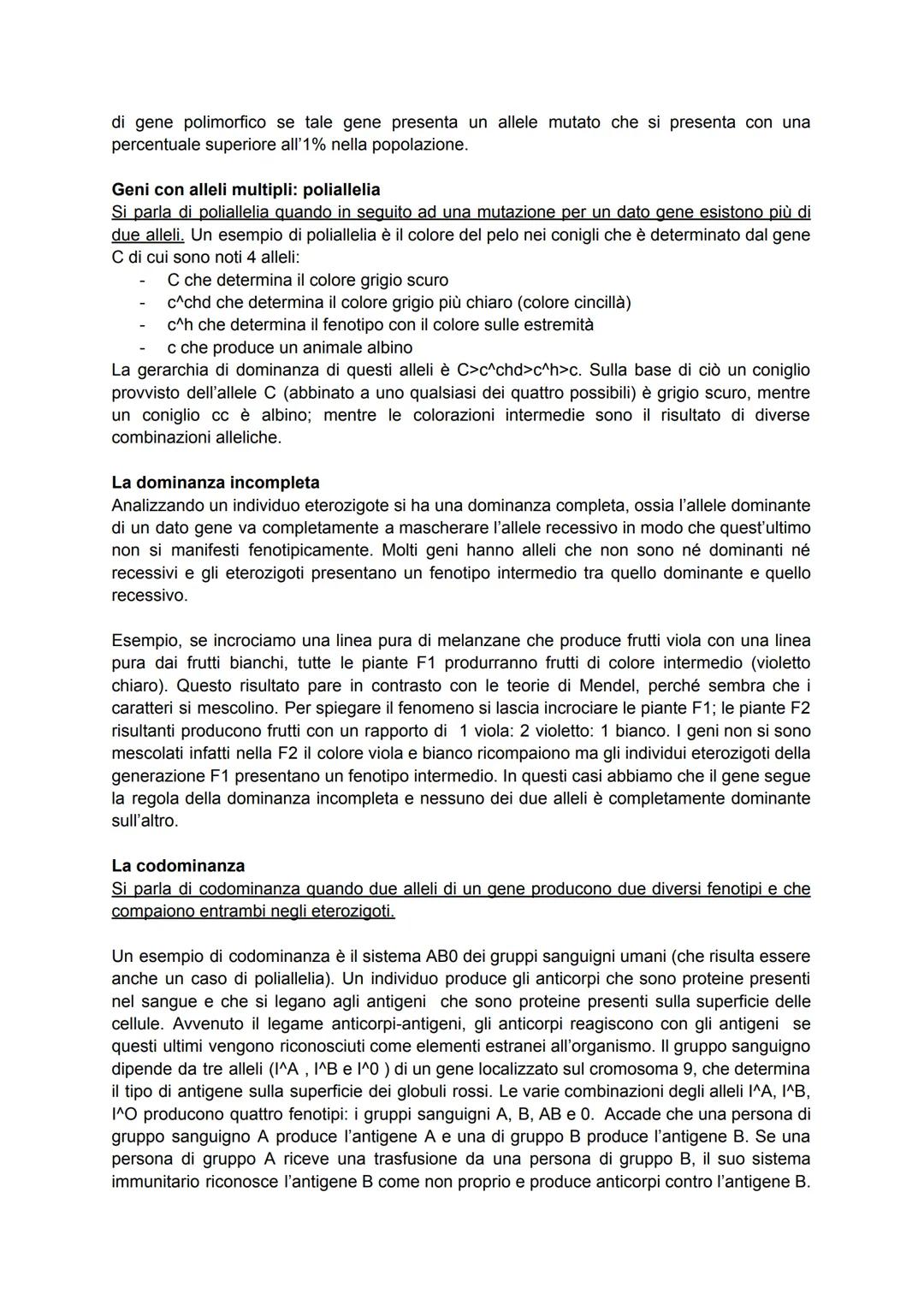# Mendel, il padre della genetica

La Genetica è la scienza, sviluppatasi nell'Ottocento, che studia la trasmissione dei caratteri
da una ge