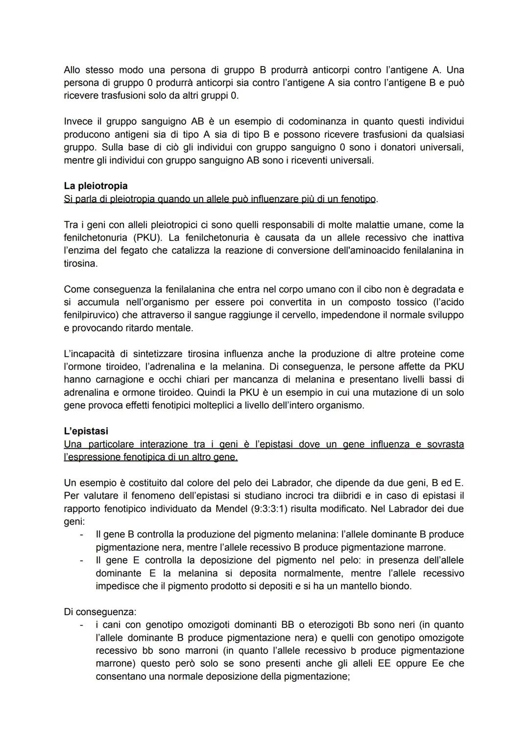 # Mendel, il padre della genetica

La Genetica è la scienza, sviluppatasi nell'Ottocento, che studia la trasmissione dei caratteri
da una ge