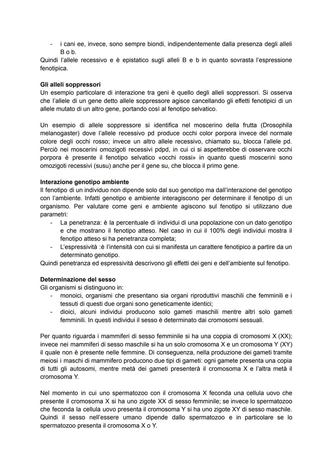 # Mendel, il padre della genetica

La Genetica è la scienza, sviluppatasi nell'Ottocento, che studia la trasmissione dei caratteri
da una ge