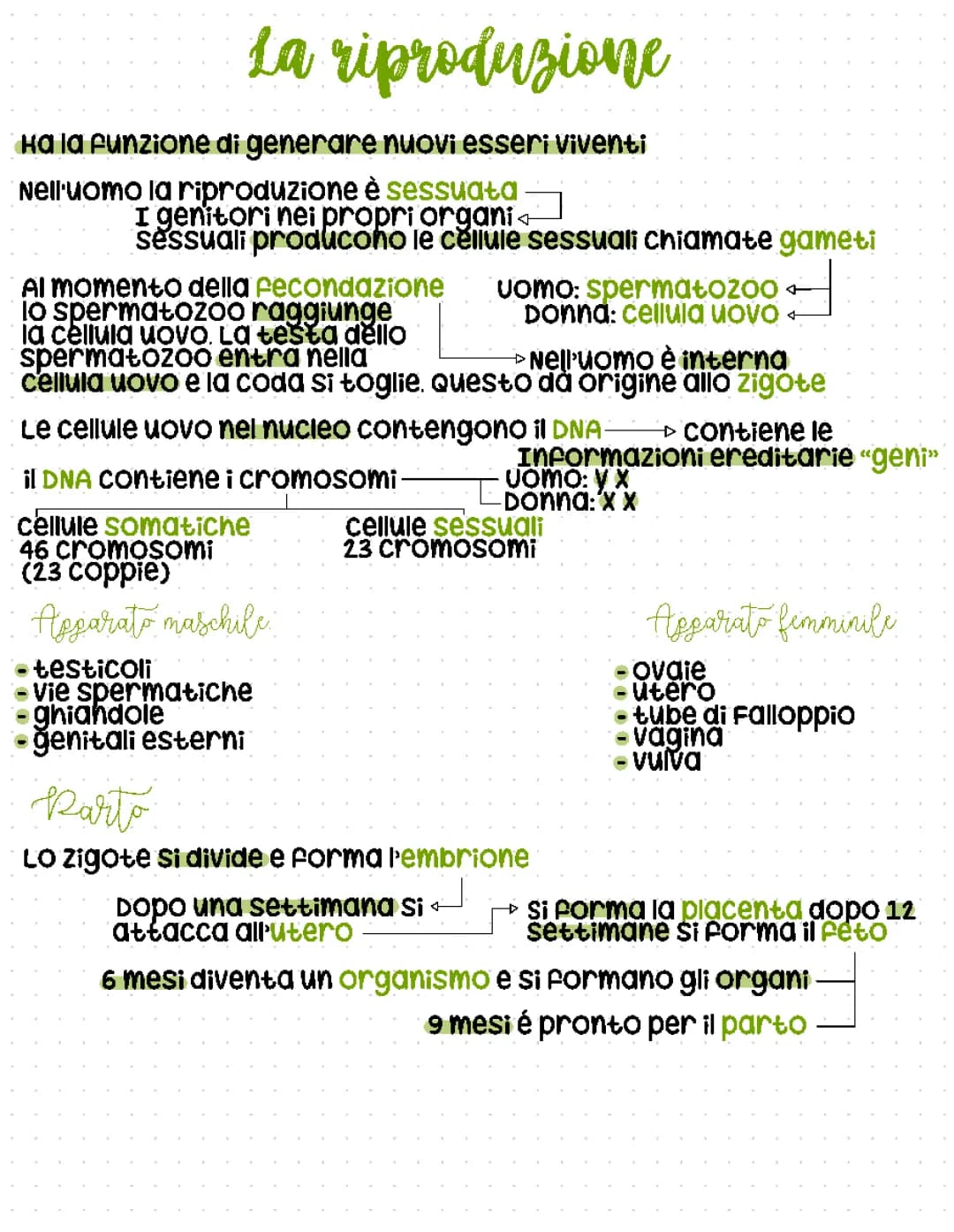 La riproduzione