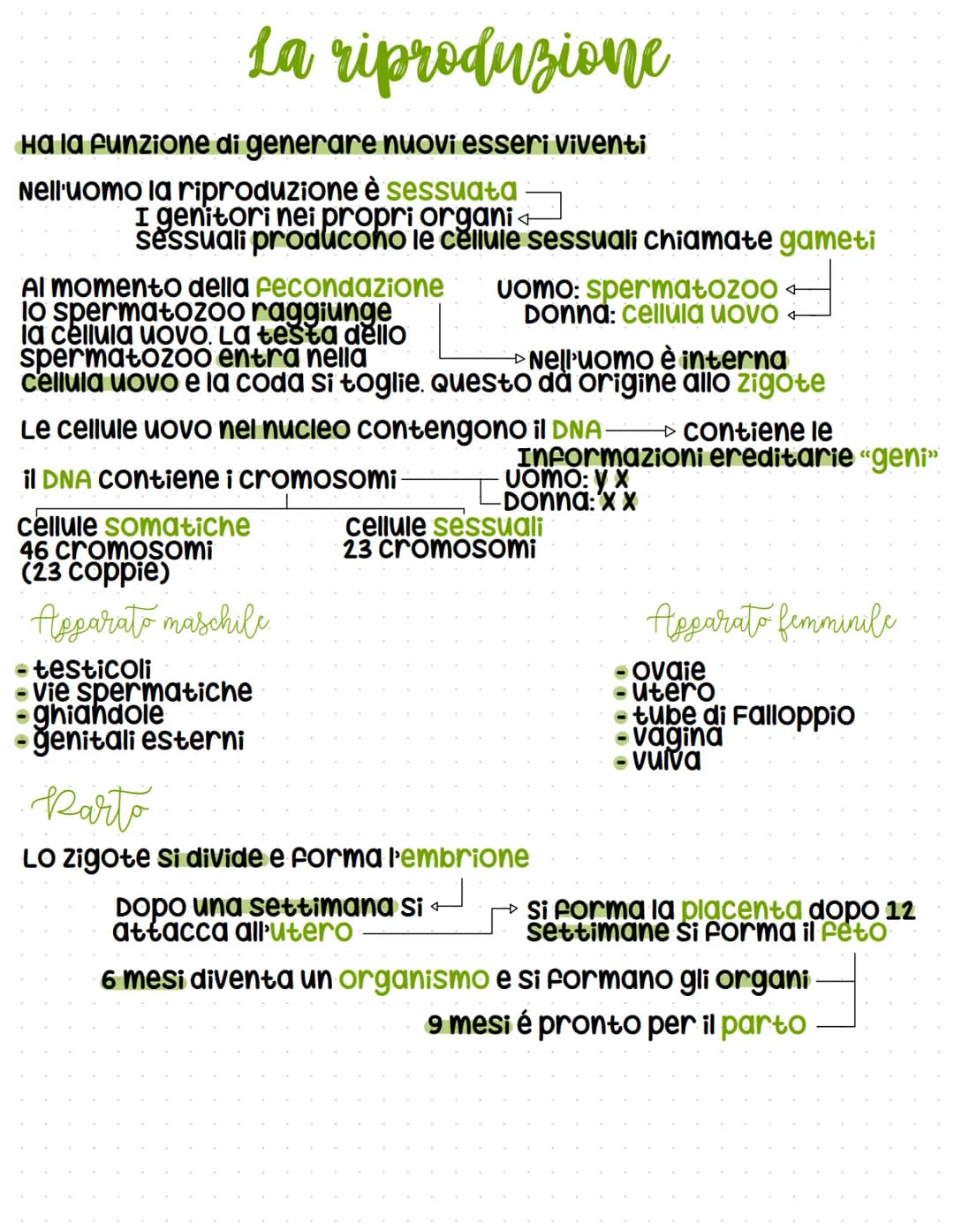 La riproduzione
Ha la funzione di generare nuovi esseri viventi
Nell'uomo la riproduzione è sessuata
I genitori nei propri organi←
sessuali 