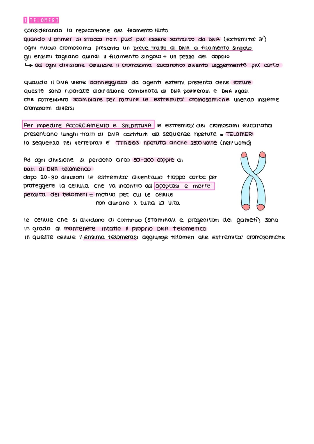 5¹
LA REPLICAZIONE DEL DNA
IL DNA e semiconservativo: ogni filamento della molecola parentale funziona da stampo
per un nuovo filamento. Cos