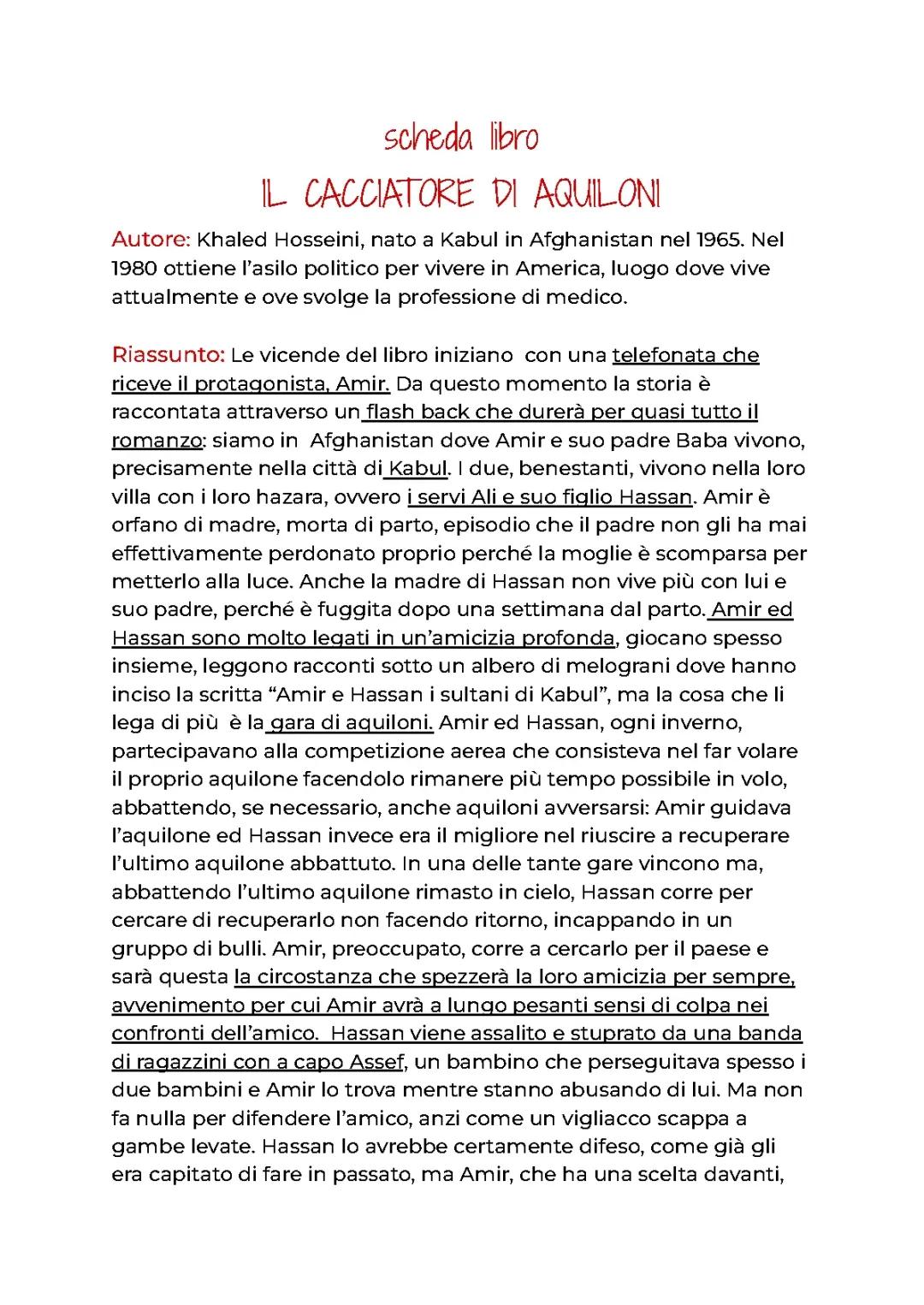 Scheda Libro: Il cacciatore di Aquiloni 