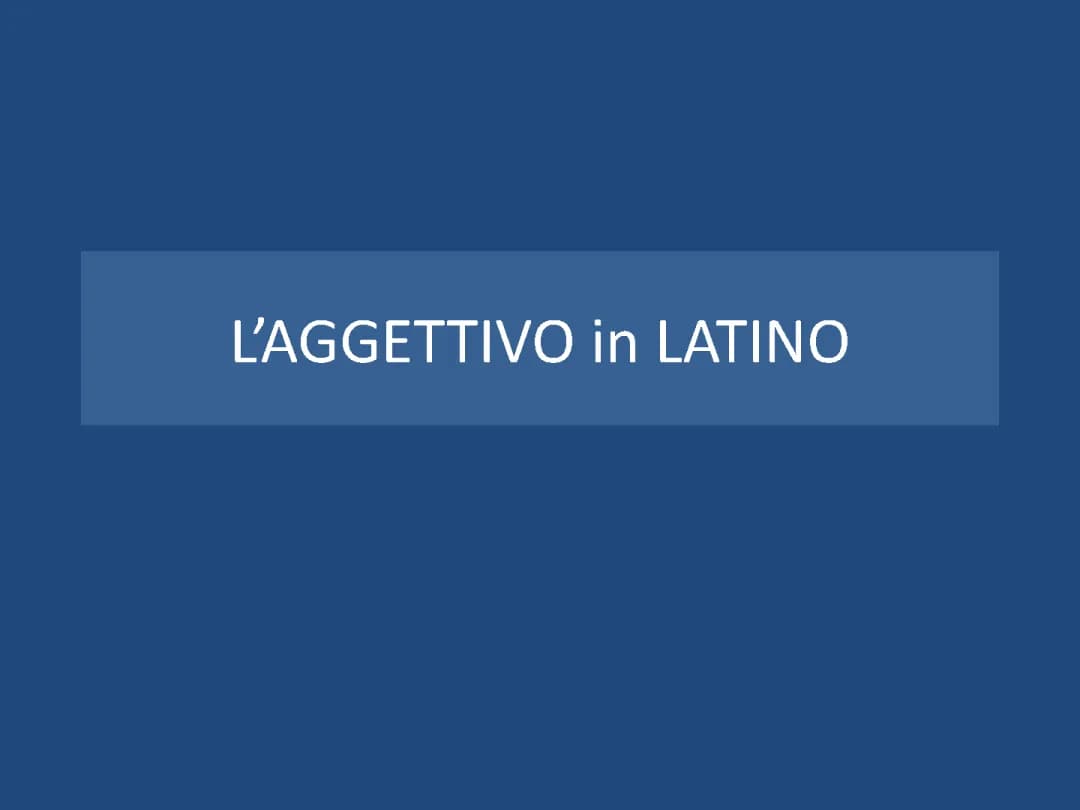 AGGETTIVO IN LATINO