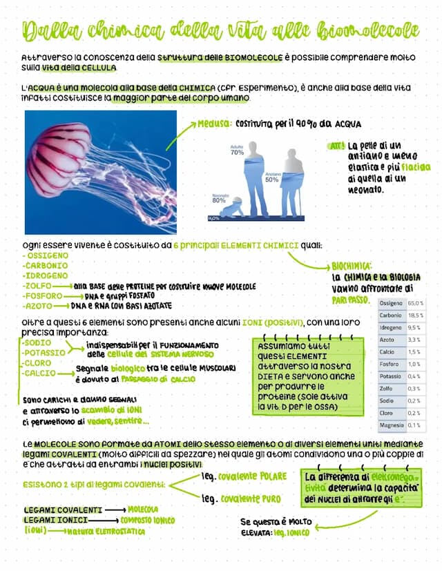 Know LE BIOMOLECOLE  thumbnail