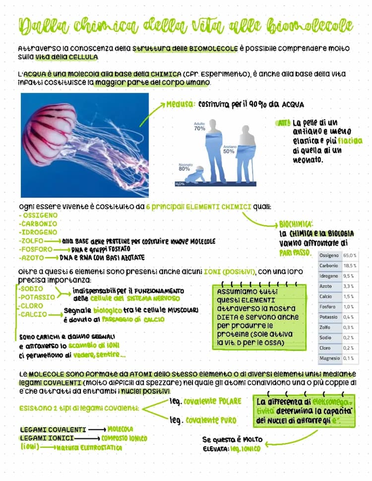 Know LE BIOMOLECOLE  thumbnail