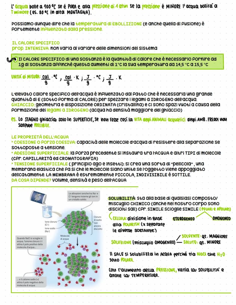 Dalla chimica della vita alle biomolecole
Attraverso la conoscenza della struttura delle BIOMOLECOLE è possibile comprendere molto
sulla vit