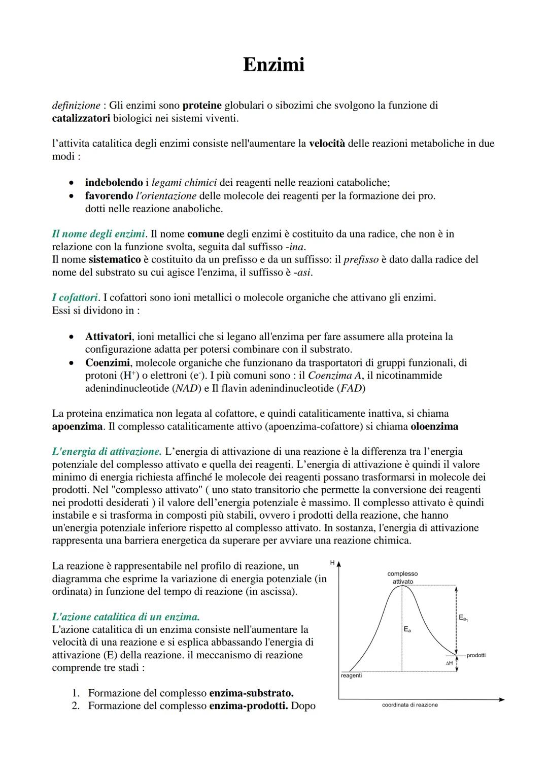 # Enzimi

definizione: Gli enzimi sono proteine globulari o sibozimi che svolgono la funzione di
catalizzatori biologici nei sistemi viventi