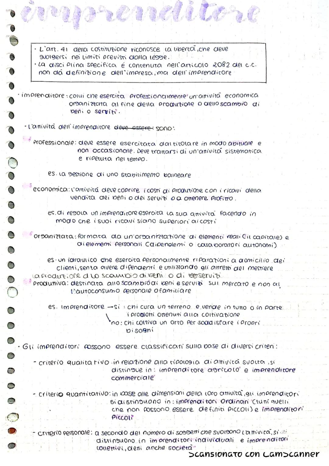 Imprenditore, azienda e concorrenza 