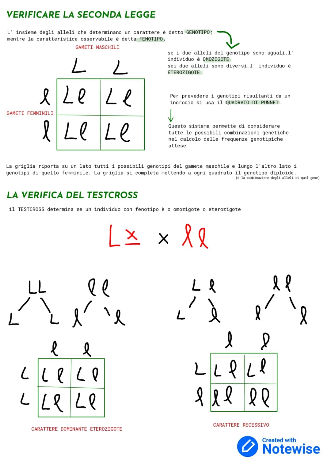 GENETICA
La GENETICA è lo studio delle leggi e dei meccanismi che permettono la trasmissione dei caratteri da una
generazione ad un' altra e