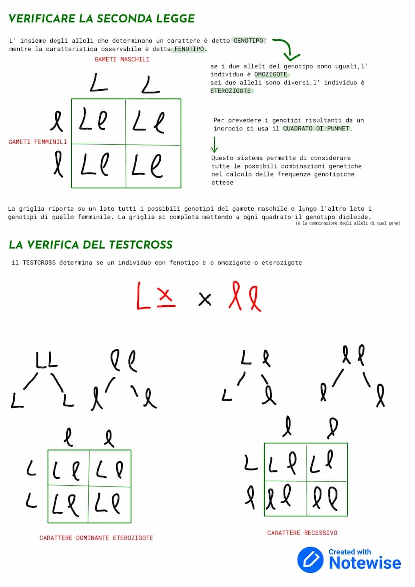 GENETICA
La GENETICA è lo studio delle leggi e dei meccanismi che permettono la trasmissione dei caratteri da una
generazione ad un' altra e
