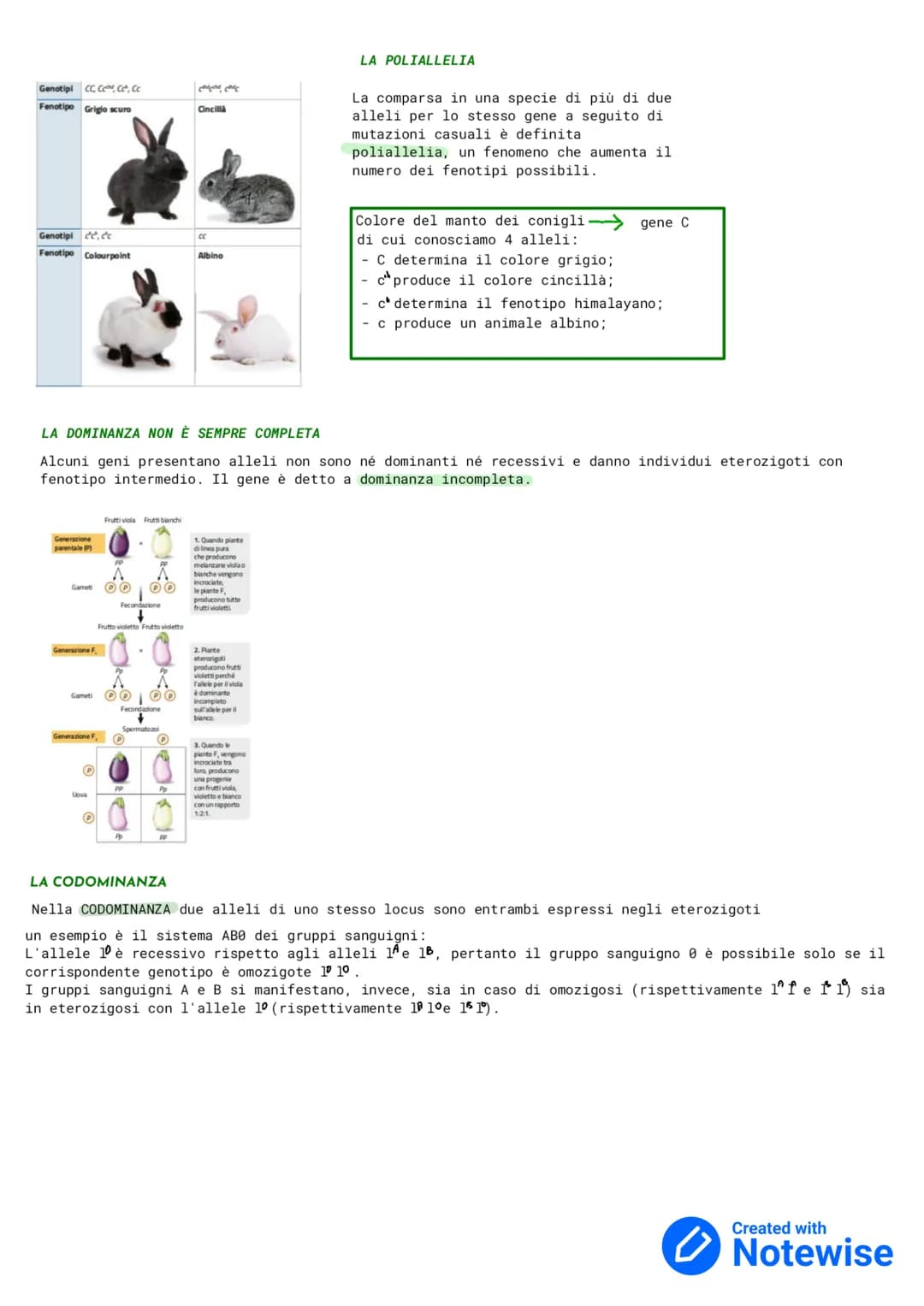 GENETICA
La GENETICA è lo studio delle leggi e dei meccanismi che permettono la trasmissione dei caratteri da una
generazione ad un' altra e