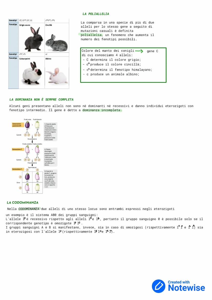 GENETICA
La GENETICA è lo studio delle leggi e dei meccanismi che permettono la trasmissione dei caratteri da una
generazione ad un' altra e