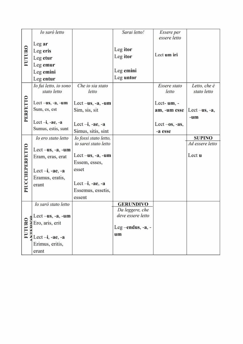 IL VERBO
Il verbo, in latino, è la parte più importante del discorso. Per fare una traduzione dal
latino all'italiano comincerò sempre dal v