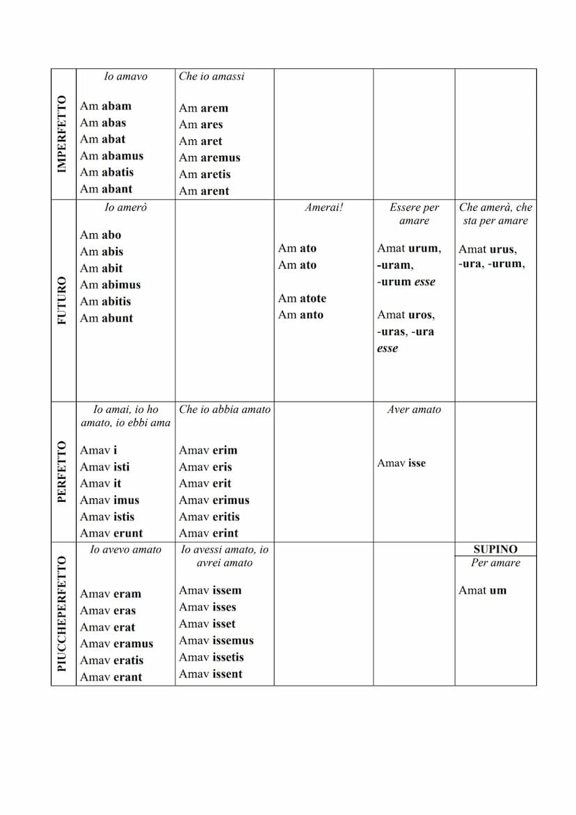 IL VERBO
Il verbo, in latino, è la parte più importante del discorso. Per fare una traduzione dal
latino all'italiano comincerò sempre dal v