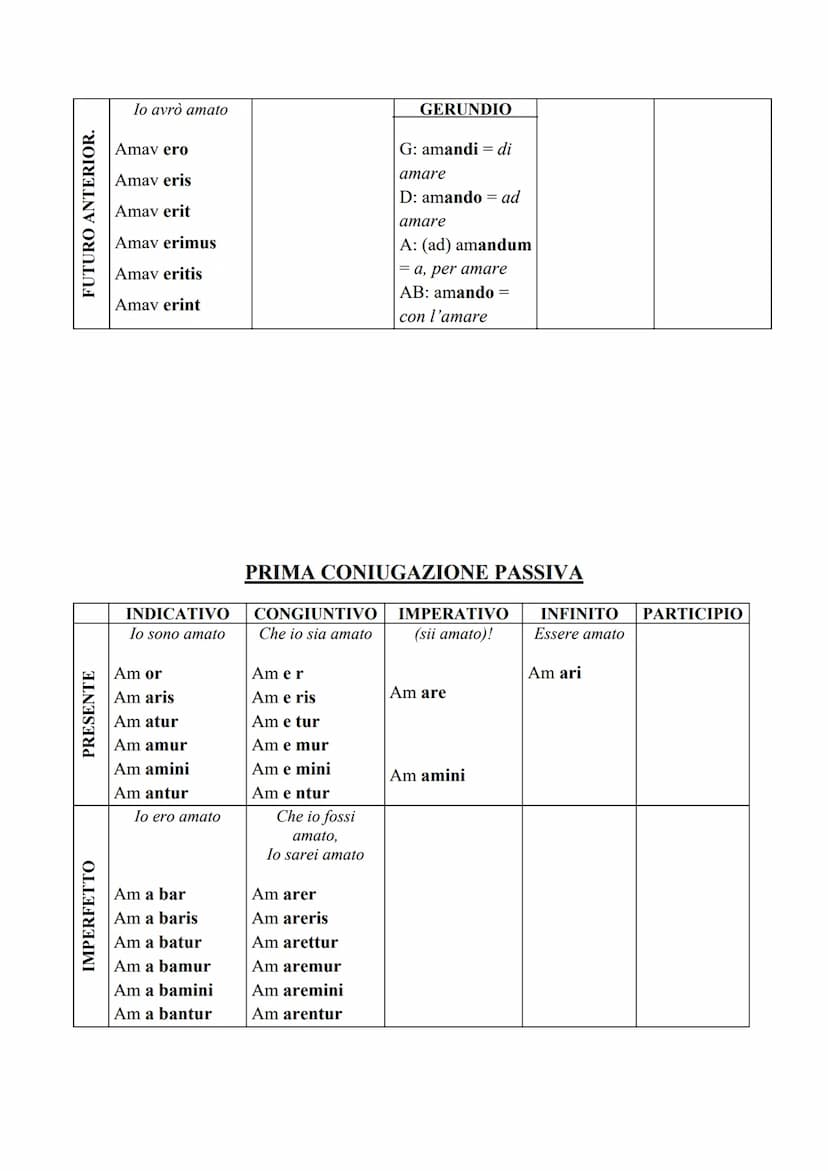 IL VERBO
Il verbo, in latino, è la parte più importante del discorso. Per fare una traduzione dal
latino all'italiano comincerò sempre dal v