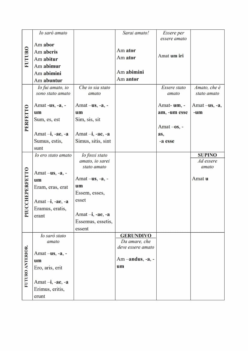 IL VERBO
Il verbo, in latino, è la parte più importante del discorso. Per fare una traduzione dal
latino all'italiano comincerò sempre dal v