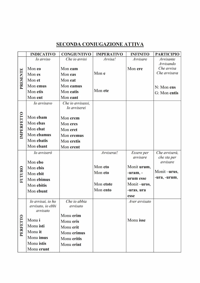 IL VERBO
Il verbo, in latino, è la parte più importante del discorso. Per fare una traduzione dal
latino all'italiano comincerò sempre dal v