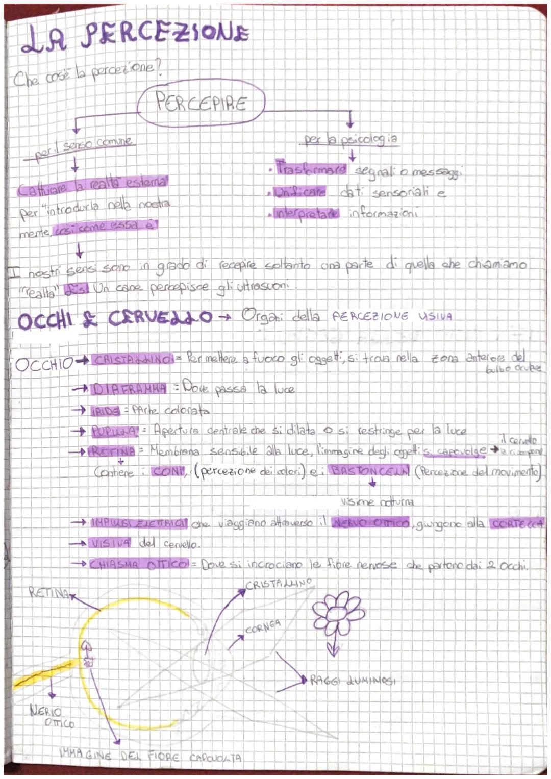 LA PERCEZIONE
Che cose la percezione!
Xper. I senso comune
-atturare la realta esternal
per "introdurla nella nostra
meme, così come essa 5
