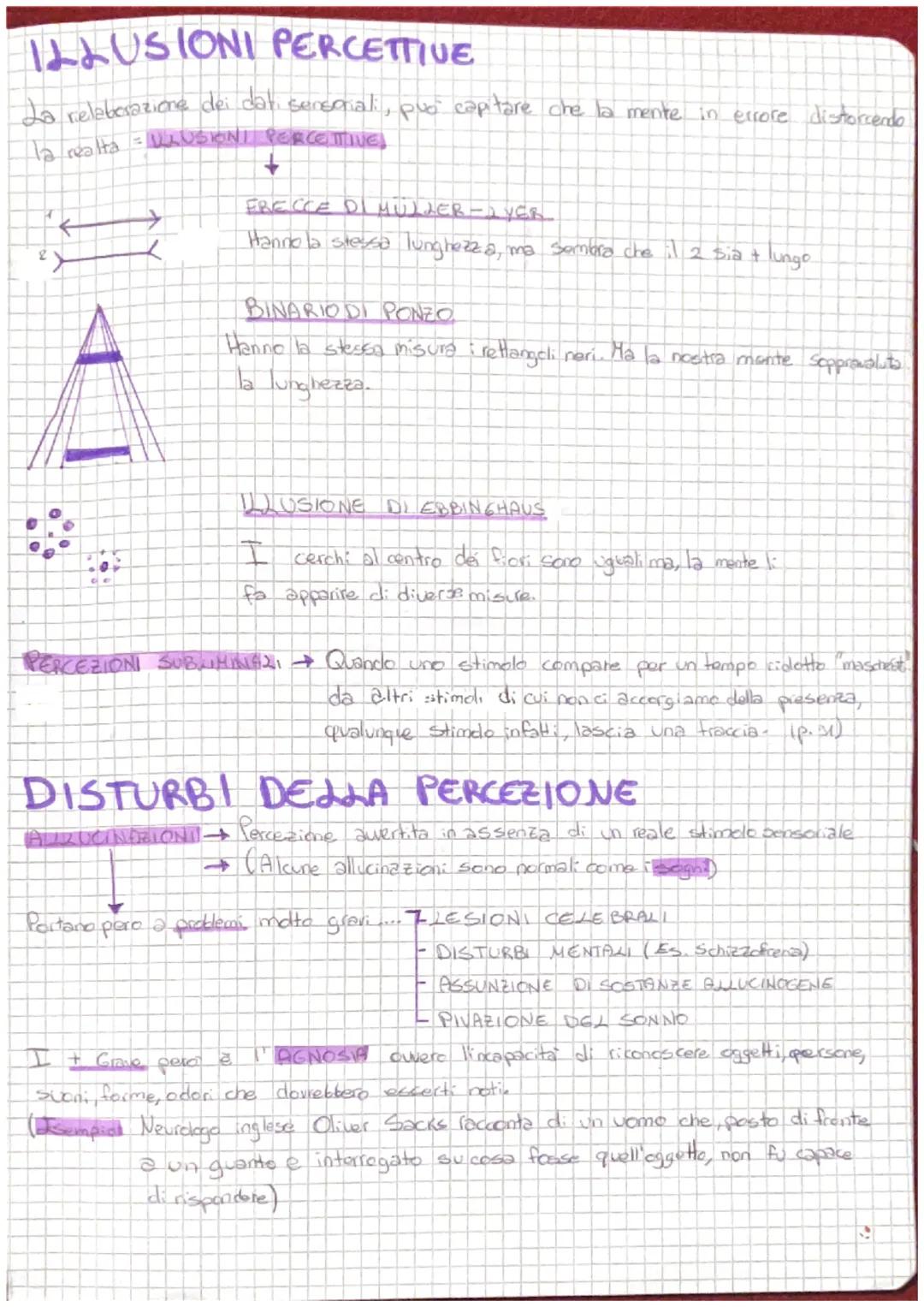 LA PERCEZIONE
Che cose la percezione!
Xper. I senso comune
-atturare la realta esternal
per "introdurla nella nostra
meme, così come essa 5
