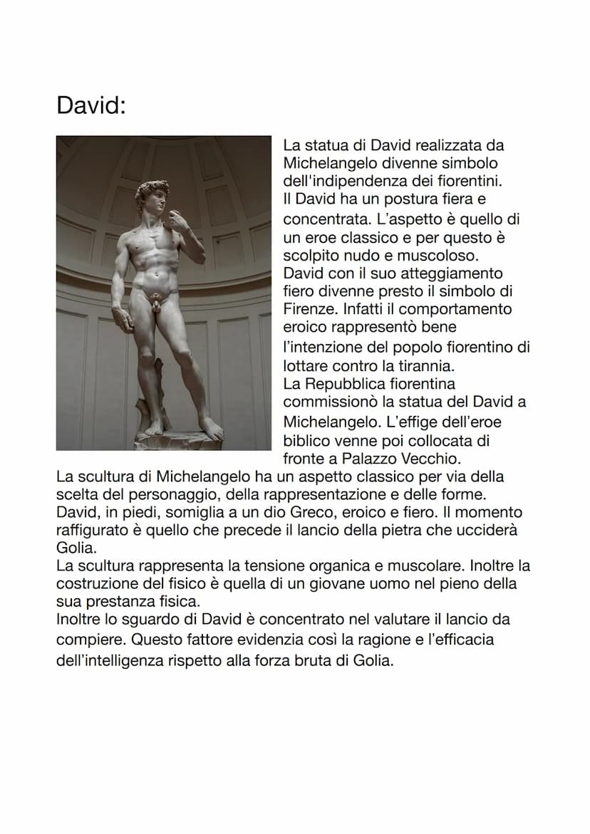 Michelangelo
Vita e filosofia artistica:
Michelangelo Buonarroti nasce a
Caprese il 6 marzo del 1475 da
Ludovico Buonarroti e da Francesca
d