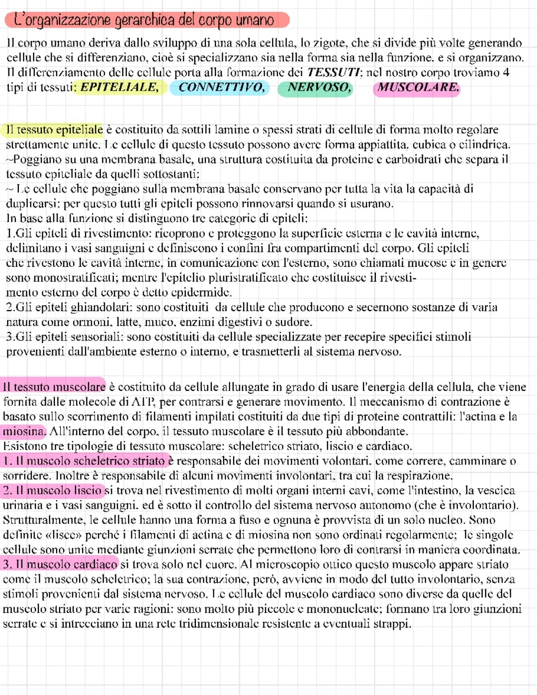i tessuti 