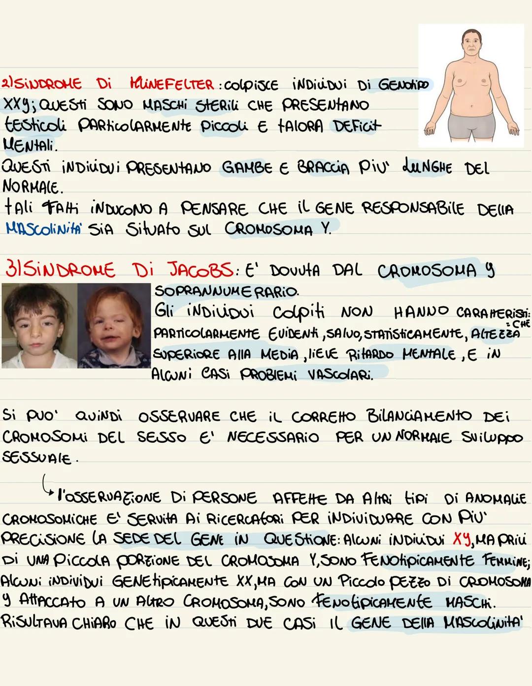 ESPERIMENTI DI MORGAN
ALCUNI CARAHERI DEGLI ESSERI UMANI SONO LEGAti Ai CROMOSOMI SESSUAli.
ESEMPIO: il GENE RESPONSABILE DELLA PRESENZA DEI