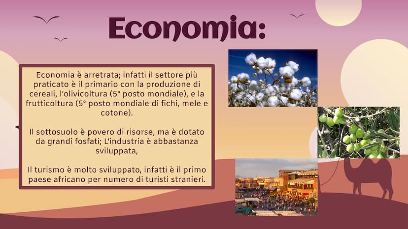 Marocco
Africa settentrionale Informazioni principali :
Nome completo:
Capitale:
Forma istituzionale :
Popolazione/densità :
Moneta:
Religio