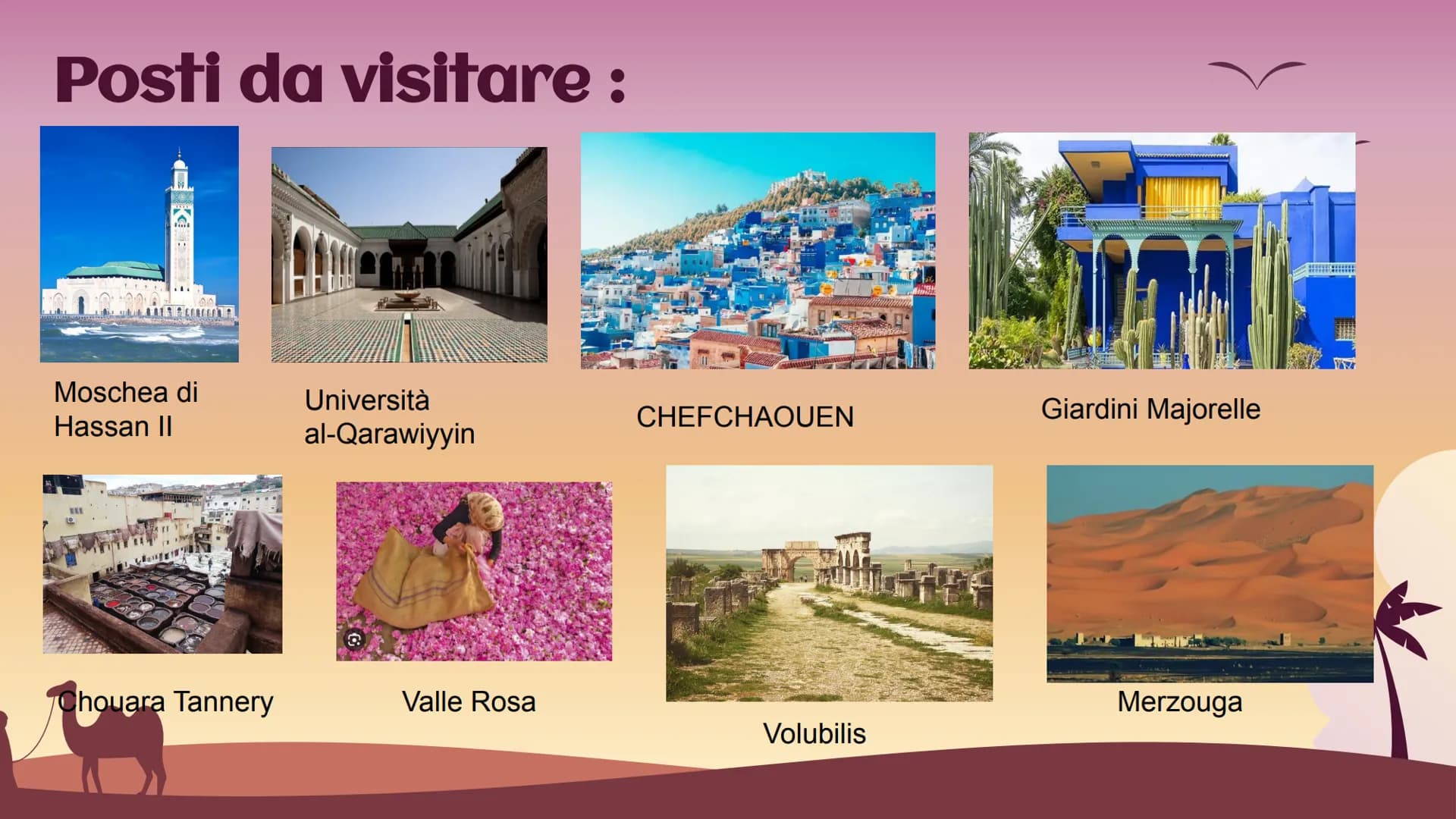 Marocco
Africa settentrionale Informazioni principali :
Nome completo:
Capitale:
Forma istituzionale :
Popolazione/densità :
Moneta:
Religio