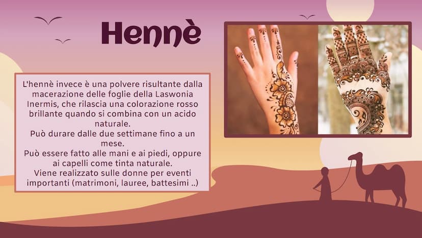 Marocco
Africa settentrionale Informazioni principali :
Nome completo:
Capitale:
Forma istituzionale :
Popolazione/densità :
Moneta:
Religio