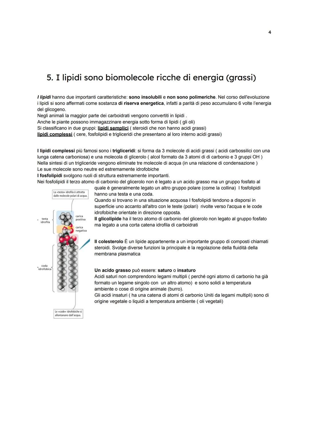 L'acqua e le Biomolecole
1. Gli atomi e i legami chimici
Tutta la materia è costituita dalla combinazione di più elementi chimici (in natura