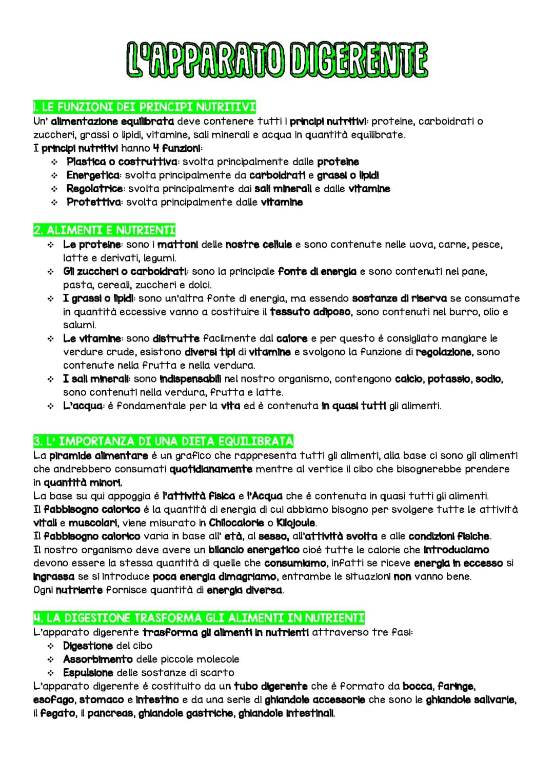 Apparato Digerente per Scuola Media: Schema, Riassunto e PDF