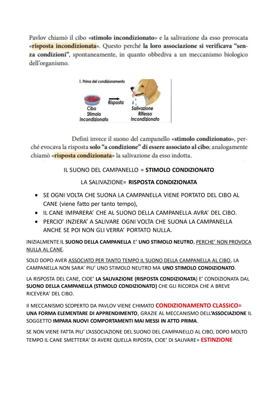Che cos'è l'apprendimento e quando avviene? In ogni occasione
in cui impariamo qualcosa che modifica il nostro comportamento in modo
stabile