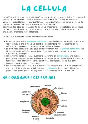 Know La cellula eucariote thumbnail