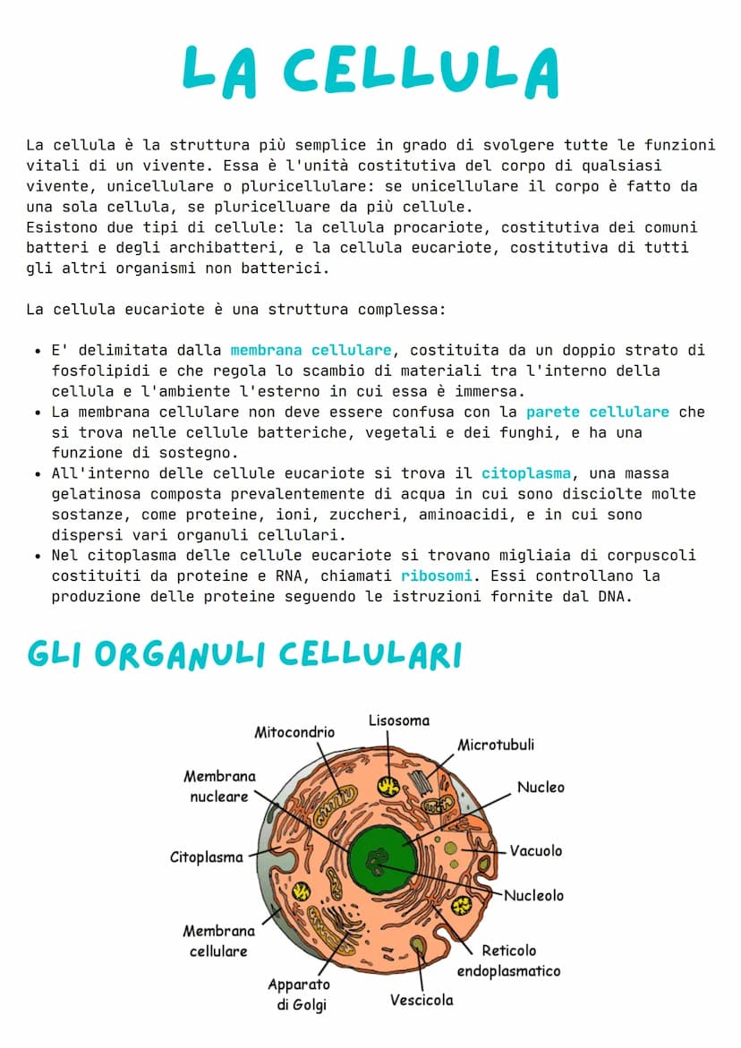 LA CELLULA
La cellula è la struttura più semplice in grado di svolgere tutte le funzioni
vitali di un vivente. Essa è l'unità costitutiva de