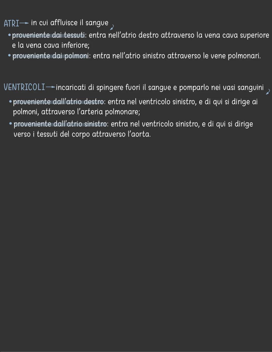 apparato circolatorio
È costituito da:
CUORE- ha la funzione di pompare il sangue
in circolo
●
●
●
●
VASI SANGUIGNI → hanno la funzione di
c