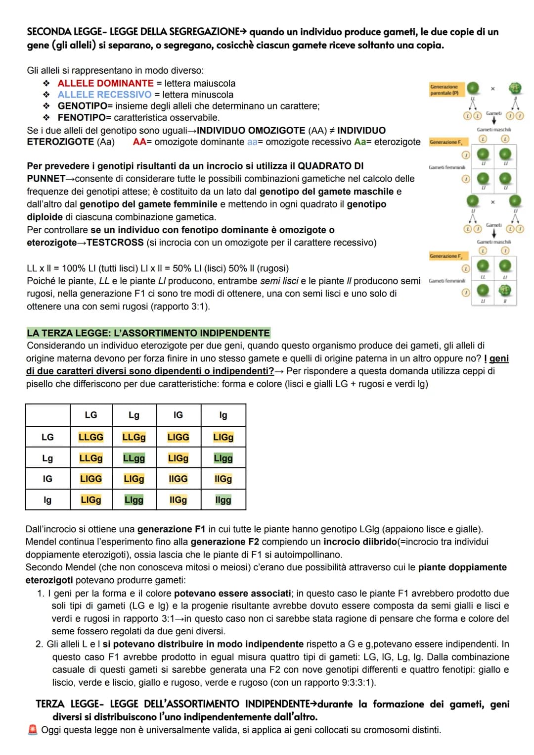 GENETICA
La genetica è lo studio delle leggi e dei meccanismi che permettono la trasmissione dei caratteri da una
generazione all'altra (nas