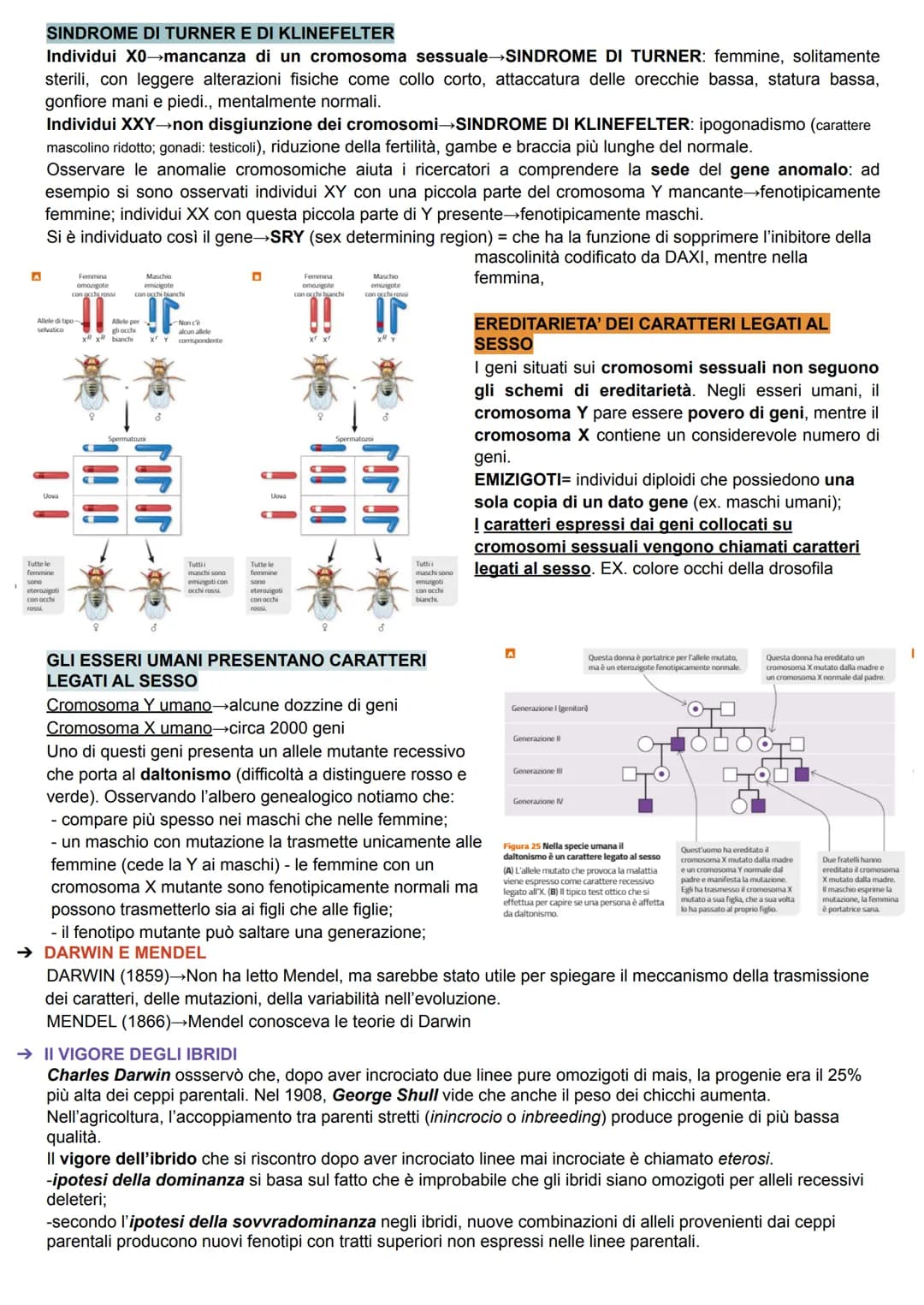 GENETICA
La genetica è lo studio delle leggi e dei meccanismi che permettono la trasmissione dei caratteri da una
generazione all'altra (nas
