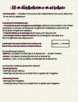 Know Microbiologia: Introduzione al “metabolismo microbico” thumbnail