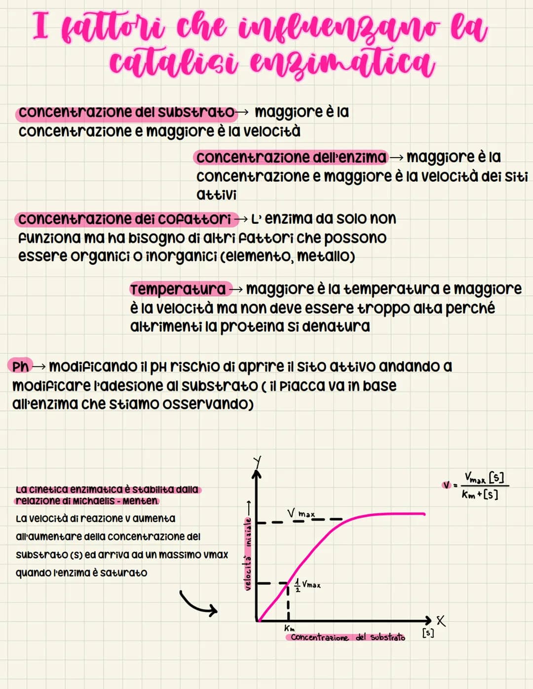 Il metabolismo microbico
Ecosistema → insieme costituito da componente biotica E abiotica
In un certo ambiente
↓
condizioni fondamentali:
- 